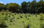 Land at Vipingo - 5