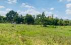 19 ac Land at Kenol-Makutano Highway - 19