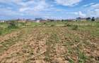 Land in Narok - 2