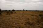 Land at Umma University - 10
