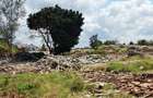Land at Diani - 16