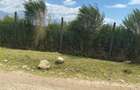Commercial Land at Kitengera - 15