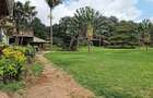 26 ac Land in Karen - 1