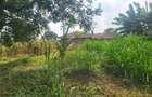 Land in Lower Kabete - 1