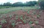Land at Kikambala - 4