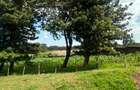 Residential Land in Tigoni - 5