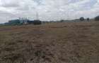 Land at Kisaju - 4