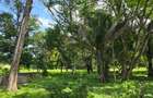20 ac Land at Mtwapa - 10