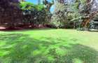1 ac Land in Spring Valley - 11