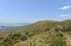 1 ac Land at South Lake Rd - 9