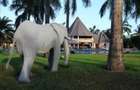 Furnished 6 ac Commercial Property with Service Charge Included at Diani - 9