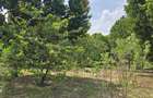 6 ac Land at Mtwapa - 2