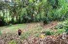 0.741 ac Land in Ruaka - 4