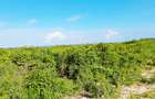 Land at Watamu - 10
