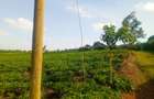 4.8 ac Land in Limuru - 1
