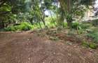 Land in Hurlingham - 1