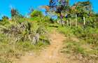 Land at Kwale - 12
