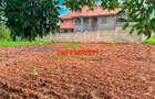 0.05 ha Residential Land at Ondiri - 3