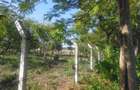 1,012 m² Land at Kikambala Beach - 4