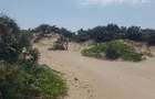 Land in Malindi - 3