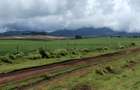 314 ac Land at Timau - 33