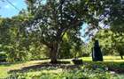 3 ac Land at Marina - Lamarina Mtwapa Creek - 15