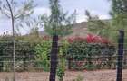 505 m² Residential Land at Mutongoni Road - 14