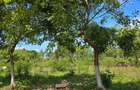 7 ac Land at Kikambala - 2