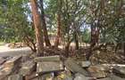 Land at James Gichuru - 7