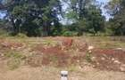 1,000 m² Residential Land at Vipingo - Kuruwitu - 19