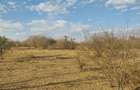 31 ac Land at Sekenani - 1