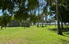 3.9 ac Land at Kikambala Beach - 13