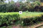 0.125 ac Land at Muchatha - 1