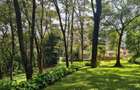 1.8 ac Residential Land in Kitisuru - 6