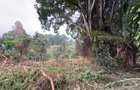 1 ac Land in Kitisuru - 5