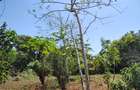 1,000 m² Residential Land at Mvindeni - 4