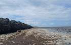 2 ac Land in Watamu - 7