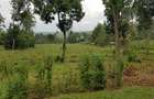 Residential Land at Mokoyot Close - 7