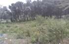 0.25 ac Residential Land at Maasai Lodge Road - 5