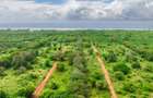 1,012 m² Residential Land at Kuruwitu Blue Green Estate Vipingo - 12