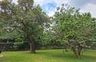 5 Bed Villa with En Suite in Karen - 7