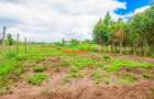 0.05 ha Residential Land at Nduiguine - 12