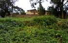 Land at Red Hill Rd - 4