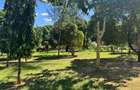 Land in Mtwapa - 15