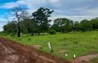Land in Vipingo - 5