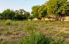 Land in Nyali Area - 8