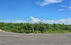 1,000 m² Land at Vipingo - 7