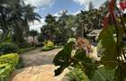 6 Bed Villa with En Suite in Nyari - 18