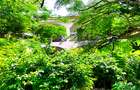 4 Bed House with En Suite at Kuruwitu Beach - 11