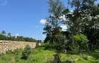 Land at Kikambala - Mombasa Malindi Highway - 3